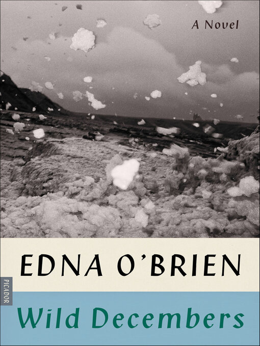 Title details for Wild Decembers by Edna O'Brien - Available